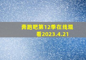 奔跑吧第12季在线观看2023.4.21