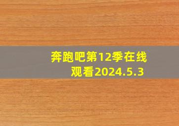 奔跑吧第12季在线观看2024.5.3