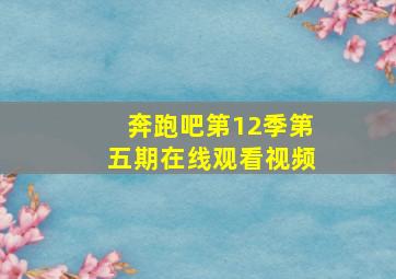 奔跑吧第12季第五期在线观看视频