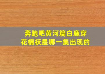 奔跑吧黄河篇白鹿穿花棉袄是哪一集出现的