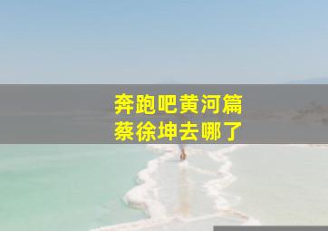 奔跑吧黄河篇蔡徐坤去哪了