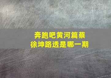 奔跑吧黄河篇蔡徐坤路透是哪一期