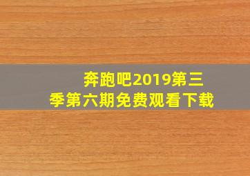 奔跑吧2019第三季第六期免费观看下载