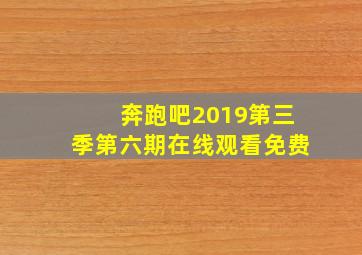 奔跑吧2019第三季第六期在线观看免费