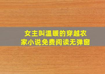 女主叫温暖的穿越农家小说免费阅读无弹窗