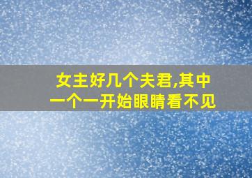 女主好几个夫君,其中一个一开始眼睛看不见