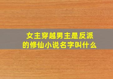 女主穿越男主是反派的修仙小说名字叫什么