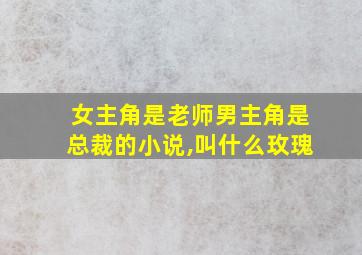 女主角是老师男主角是总裁的小说,叫什么玫瑰