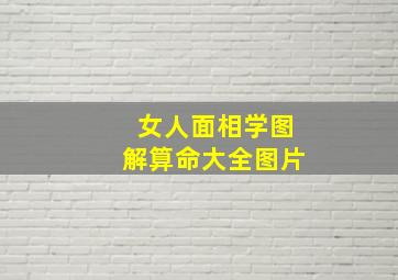 女人面相学图解算命大全图片