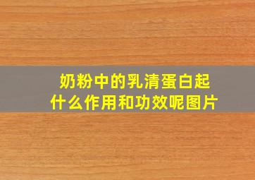 奶粉中的乳清蛋白起什么作用和功效呢图片