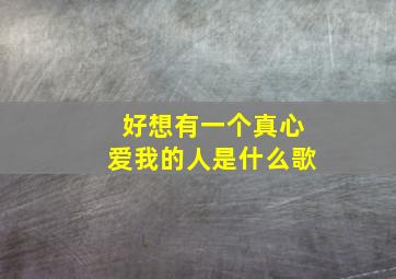 好想有一个真心爱我的人是什么歌