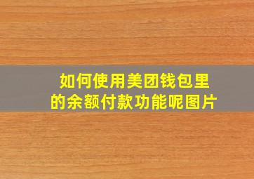 如何使用美团钱包里的余额付款功能呢图片