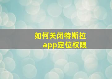 如何关闭特斯拉app定位权限