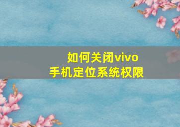 如何关闭vivo手机定位系统权限