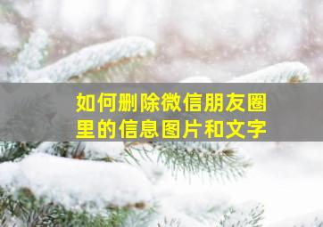 如何删除微信朋友圈里的信息图片和文字