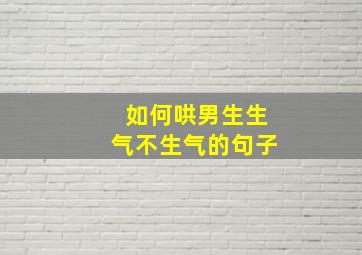 如何哄男生生气不生气的句子