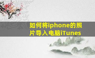 如何将iphone的照片导入电脑iTunes