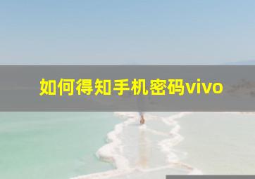 如何得知手机密码vivo