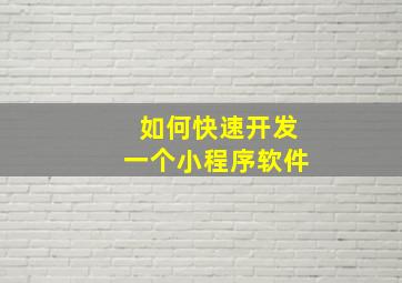 如何快速开发一个小程序软件