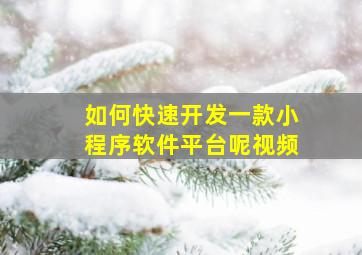 如何快速开发一款小程序软件平台呢视频