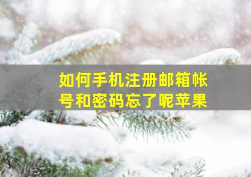 如何手机注册邮箱帐号和密码忘了呢苹果