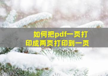 如何把pdf一页打印成两页打印到一页