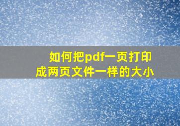 如何把pdf一页打印成两页文件一样的大小