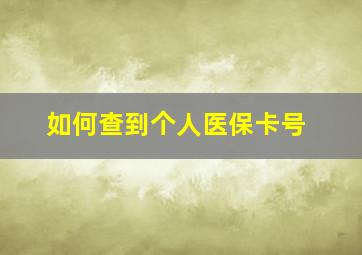 如何查到个人医保卡号