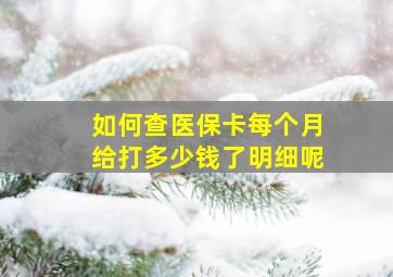 如何查医保卡每个月给打多少钱了明细呢