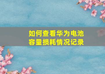 如何查看华为电池容量损耗情况记录