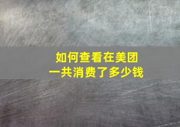 如何查看在美团一共消费了多少钱