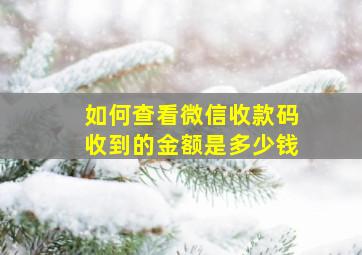 如何查看微信收款码收到的金额是多少钱