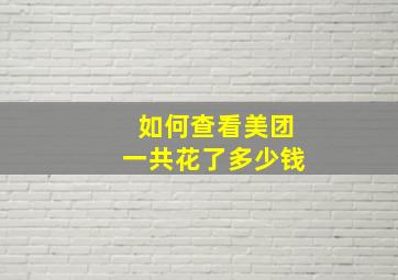 如何查看美团一共花了多少钱