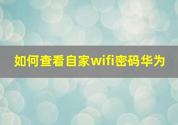 如何查看自家wifi密码华为