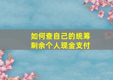 如何查自己的统筹剩余个人现金支付