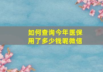 如何查询今年医保用了多少钱呢微信