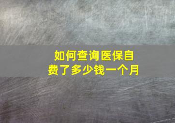 如何查询医保自费了多少钱一个月