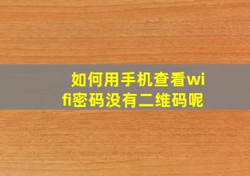 如何用手机查看wifi密码没有二维码呢