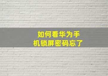 如何看华为手机锁屏密码忘了