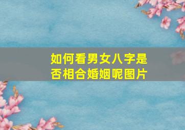 如何看男女八字是否相合婚姻呢图片