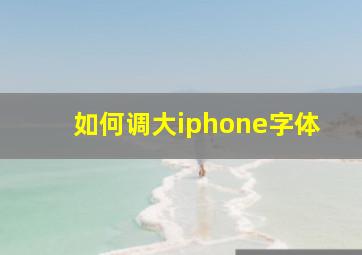 如何调大iphone字体