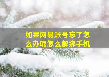 如果网易账号忘了怎么办呢怎么解绑手机