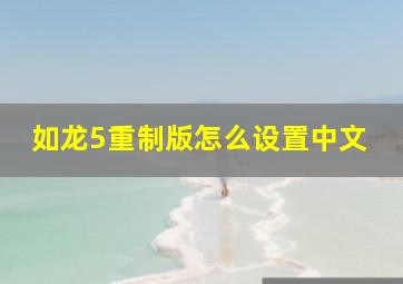 如龙5重制版怎么设置中文