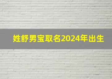 姓舒男宝取名2024年出生