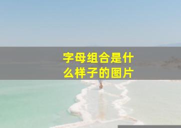 字母组合是什么样子的图片