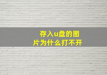 存入u盘的图片为什么打不开