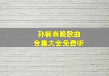 孙楠春晚歌曲合集大全免费听