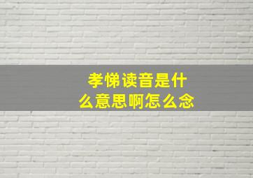 孝悌读音是什么意思啊怎么念