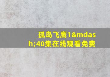 孤岛飞鹰1—40集在线观看免费