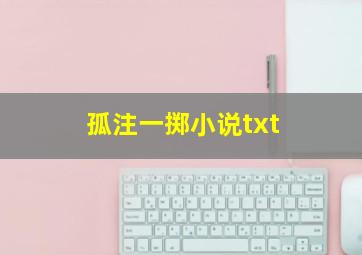 孤注一掷小说txt